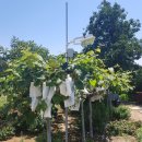 강화자연농원펜션 이미지