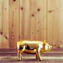 돼지되지 이미지