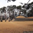 여주-0118 | 서울 인릉(仁陵), 순조와 순원왕후 능을 찾은 겨울날