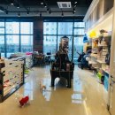 벨라루시 펫살롱 이미지