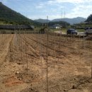 계수농장 이미지