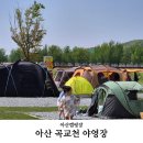아산시신정호관리사무소 | 아산 곡교천 야영장 예약 명당 꿀팁 완벽 정리