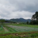 추동농장 이미지