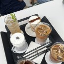 레포레스트(REFOREST) 이미지