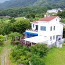 컴투펫 위탁보호센터 강원원주점 이미지