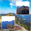 ◆ 26년11월8일 제40차 정기 트레킹 안내 (공주 계룡산 갑사 오리숲길 트레킹) 이미지