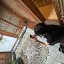 공병문농장 | 🌿북촌 향수 공방 카넬라(Cannella) 방문 후기🌿