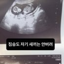 우리둘이 이미지