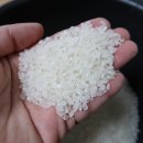 안계합동미곡종합처리장 이미지