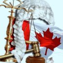 다모아인터넷플라자 이미지