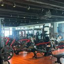 Y.GYM 이미지