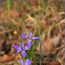 가야3리 이미지