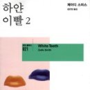 제이디 뷰티