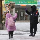 제주중앙초등학교 이미지
