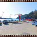 산과바다산약초