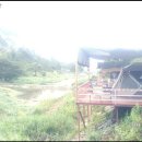 숲속의 샘물 캠핑장 이미지