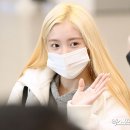강예서 카카오 검색결과