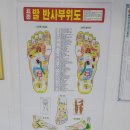 약손체형수기관리 네이버블로그