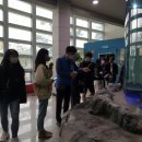 조선쌈밥 이미지