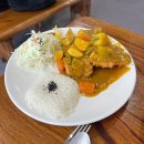 늘솜 | 부산 괴정 맛집 늘솜돈까스 솔직후기｜땡초돈까스·카레돈까스 내돈내산