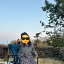 고망돌담 이미지