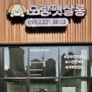 모랑펫살롱 네이버블로그