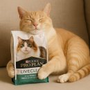 소화성 가정 | 리브클리어 사료 : 고양이 알러지 걱정 끝! 퓨리나 리브 클리어 사료 과학적 원리와 사용법