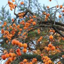 너른마당 이미지