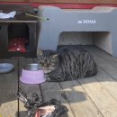 푸른섬펜션 이미지