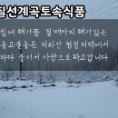 지리산 칠선계곡 토속식품 이미지