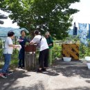 쪽빛언덕 이미지