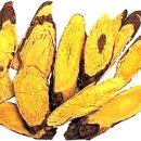 약초이야기 이미지