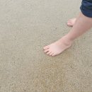 에코창환경 이미지