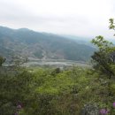 진자농장 이미지