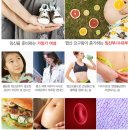 마미팜