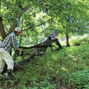 이존식농장 이미지