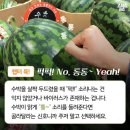 슈박 이미지