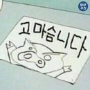 블룸앤버터 | [블룸앤버터] 청량리 생화컵케이크로 웨딩촬영 소품 후기