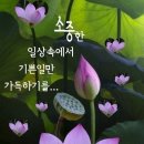 머리숱 많아지게 하는 방법8까지 이미지