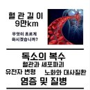사람과먹거리 이미지