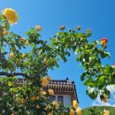 주정마을회관 이미지