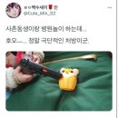 메이플동물병원 이미지