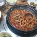 울산 무거동 맛집 낙지볶음 낙지전골 추천 태화강낙지볶음