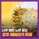 축구장 5개 크기의 밭에 40만 송이의 함안 강주 해바라기 축제 이미지