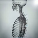 체형관리 - 과천시 새술막길 36 | 체형관리