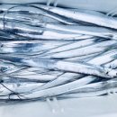 일오삼낚시 이미지