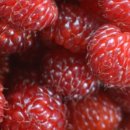 상동농장 이미지