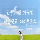 유채 - 전주시 완산구 태평3길 70 | 안성팜랜드 후기 유채꽃 보러 갔다가 여름 초록 언덕에 반한 서울 근교 나들이