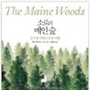 소로 소로 이미지