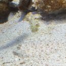 (주)파란고래 | 겨울 오키나와 1